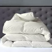 Saules Patalyne Žąsų pūkinė antklodė (70%-pūkų, 30%-plunksnų) su tiku EXCLUSIVE PLUS , 200x200 cm