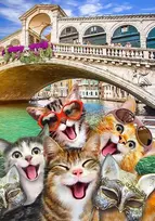 Dėlionė WOODEN CITY Medinis Puzzle su Figūrom - Katės Venecijoje 75 dalys