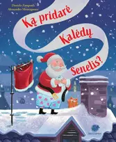 KNYGA Ką pridarė Kalėdų Senelis?