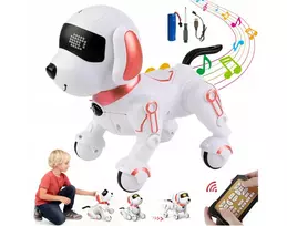 Šuo robotas, Happy People M-108