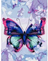 Centrum Rinkinys tapybai ant drobės pagal skaičius BUTTERFLY, 300x400mm