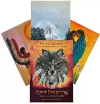 Animal Dreaming Spirit Dreaming sielos vedimo oracle kortos, 40 kortų