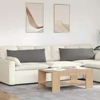 Sofa Pagalvės 2 pcs Tamsiai pilka 120 x 40 cm audinys
