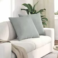 Sofa Pagalvės 2 pcs Šviesiai pilka 80 x 80 cm