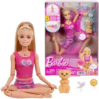 Mattel BARBIE WELLNESS MEDITATION lėlės rinkinys (JJN55)