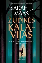 KNYGA Žudikės kalavijas. Serijos „Stiklo sostas“ priešistorė