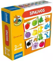 Stalo žaidimas DOMINO SPALVOS