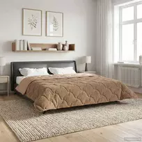Žiemos antklodė 220 x 240 cm Žiema Tortora Kvėpuojantis