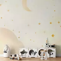 Artgeist Fototapetas - Starry Night