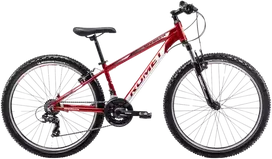 Youth bicycle ROMET Rambler R6.1, 26" 17" M, red-baltas-pilka