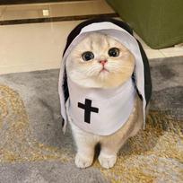 Dog Nun Costume Halloween Dog Costume Funny Cosplay Nun Costume Sister Habit Pet Cloth Dress Up Pet Costume For Small Cats & S