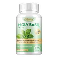 Ekologiškos baziliko kapsulės, Baziliko lapų ekstraktas, 1100 mg, Veganinės, Be glitimo, Tinka suaugusiems 120*1