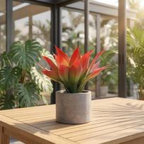 Artificial Tropical Agave Plant Realistic Simulation Decorative Succulent Faux Plant for Indoor Outdoor Display Home Office Tabletop Arrangement One Size