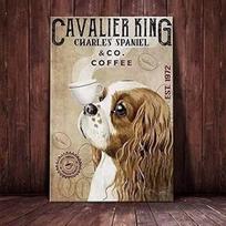 Mfoever Tin Sign Cavalier King Charles Spaniel Dog Metal Tin Sign  for Cafe Living Room and Kitchen  Home Wall Decoration Plaque  Perfect Gift (as the picture,20x30cm 12x8 Inches)
