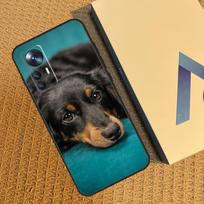 Dachshund Dog Case For Xiaomi 12T 11T Pro 13 11 12 Lite POCO F5 X5 Pro X3 Pro F3 M5 POCO F5 X4 F4 GT Cover For Mi 11T (11T Pro)