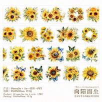 Journal GO 5x200cm Blooming Flower Decor PET Tape Stickers Creative DIY Journal CollageScrapbooking Stationery Masking Tape