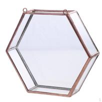 Glass Geometric Terrarium Box Succulent Plant Planter Wall Decor copper