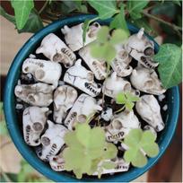 20pcs Resin Dragon Skull Decoration Mini Paving Stone Outdoor Landscape Decoration Dragon Skull Design Flowerpot Filler Stones China Mainland