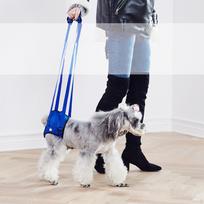 Dog Lift Support Harness, Auxiliary Belt , Canine Aid for Disabled Walking Assistance Hips Rear Legs Blue M