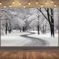 2D Monochrome Snowy Forest Backdrop Curved Road Winter Wonderland Decor 47.2x31.5inch/120*80cm