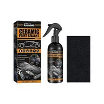 Car Paint Ceramic Coating Sealant Paint Sealant Polishing Wax
