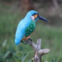 Kingfisher paukščių ornamentas Sodo statula Rankų darbo dekoras Šventės vakarėlis blue
