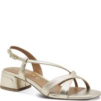 Basutės moterims, Kūno, Sandal heel