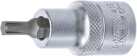 Antgalis | ilgis 55 mm | 12,5 mm (1/2") | Spline (Ribe) M6 (4151)