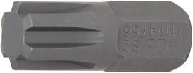 Antgalis | ilgis 30 mm | 10 mm (3/8") | Spline (RIBE) M11 (4766)