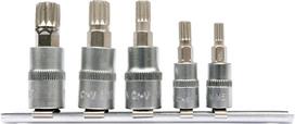 Įpresuotų antgalių rinkinys 1/4"+3/8", 5 vnt Spline M5 - M12 (YT-04360)