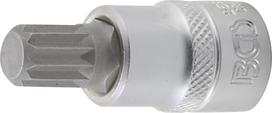 Antgalis įpresuotas į galvutę | 10 mm (3/8") | Spline (XZN) M12 (2587)