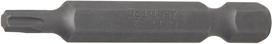 Antgalis | ilgis 50 mm | 6,3 mm (1/4") | T-Star (Torx) T20 (4591)