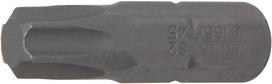 Antgalis | 8 mm (5/16") storio | T-star (Torx) T45 (8165)