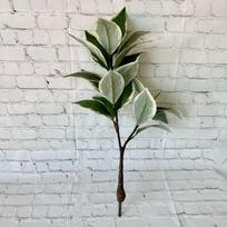 Silkprinted Artificial Fiddle Leaf Fig Tree With White Border For House Ornament And Event Use White Edge