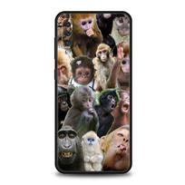 Phone Case For Samsung A56 A36 A26 A24 A12 A14 A16 A50 A70 A20E A10S A22 A40 A34 A54 A42 A52 5G A04s A06 Cover Cute Funny Monkey Galaxy A30