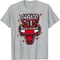 NBA Chicago Bulls Airbrush Logo T-Shirt S įvairiaspalvis