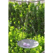 Hanging Bird Feeder Platform Tray Outdoor Birdbath Wild for Attracting on