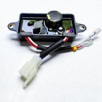 290440009 AVR Automatinis įtampos reguliatorius Lygintuvas Honda