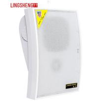 LINGSHENG WS-570 Wall-Mounted Speaker (CN version)