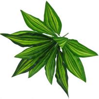 1 puokštė 12 galvų Dirbtinis augalas Sago Cycas lapai namų bonsai dekoravimas žalia