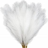 Dekoratyvinė žolė Pampas