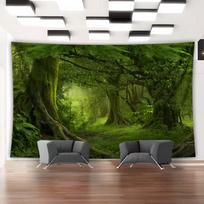 2D Green Rainforest Tapestry, Lush Forest Wall Hanging for Home Decor 47.2x31.5inch/120*80cm