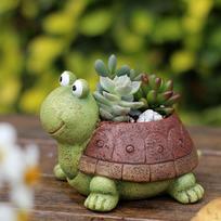 Turtle Flower Bonsai Trough Box Plant Bed DIY Pot