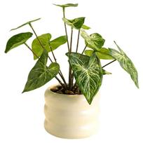 Realistic Artificial Plants Bonsai Evergreen with Ceramic Flowerpot Simulation Green Plant Bonsai No Watering Elegant