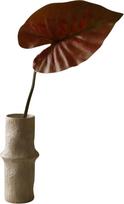 Botane Dirbtinė gėlė Botane alokazija 87 cm