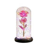 Rose Flower Gifts for Her Mom Wife Grandma Light Up Eternal Rose in A Dome Romantic Gift for Anniversary Birthday Valentine's Day Christmas D