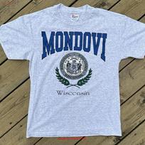 Vintage 90s Mondovi Wisconsin Crest Seal T Shirt Size M Heather Grey vintage Washed Top For Everyday Wear Slightly homme S įvairiaspalvis