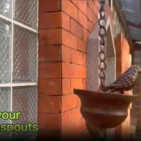 Mobile Birds on Cups Rain Chain Rain Catcher For Gutter Roof Decoration Metal Drainage Rain Chain Downspout Tool CN