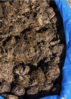 Ekologiškos šviežios arklių mėšlo 20 kg, skirtos sodui, daržui, daržovėms