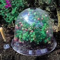 Sodo Cloche kupolo augalų varpelių augalų dangteliai Sodo dekoro augalų apsaugos dangtelis onesize
